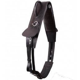 CHOLLIMA Hippothérapie