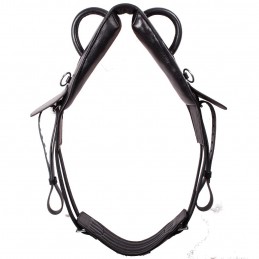 CHOLLIMA Hippothérapie