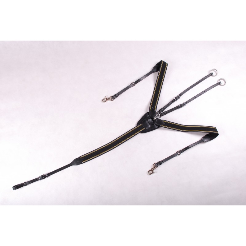 Collier de Chasse CSO