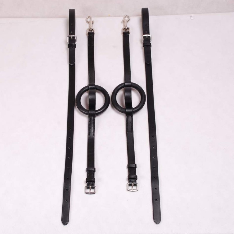 Élastiques + Anneaux