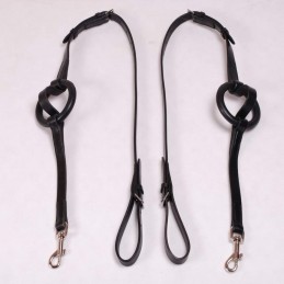 Élastiques + Anneaux