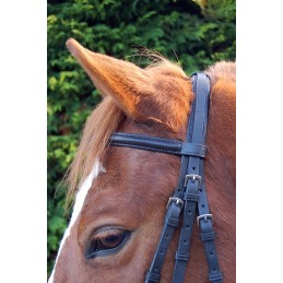 Bridon Accenti Suédois