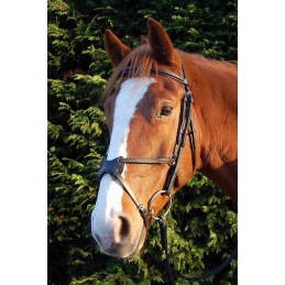 Bridon Accenti Mexicain