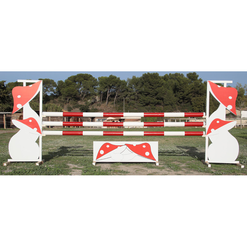 Parcours Complet en bois N°3